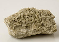 M 00070
<br/>
<br/>
<em></em>